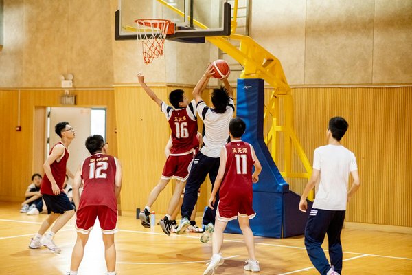 La ceinture de judo : plus qu'un accessoire, un symbole