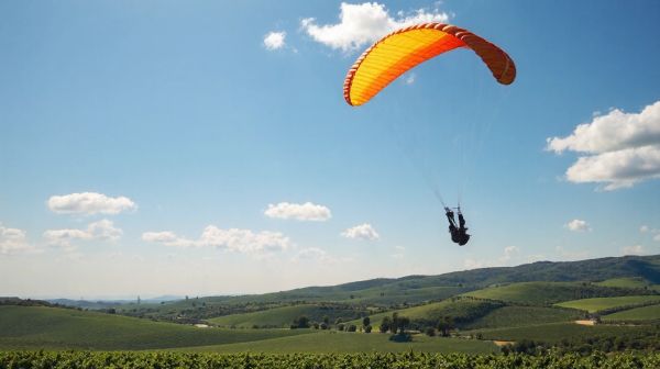 Top raisons de choisir Alsace Parachutisme pour un saut mémorable